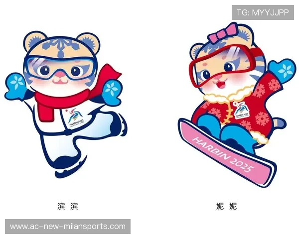 冬奥会申办城市公布初步方案,投入引关注,冬奥会申办城市有哪些